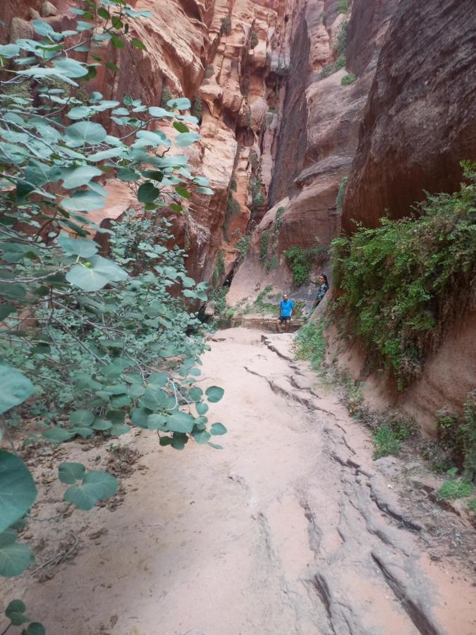 Wadi Rum Secrets Camp Екстер'єр фото